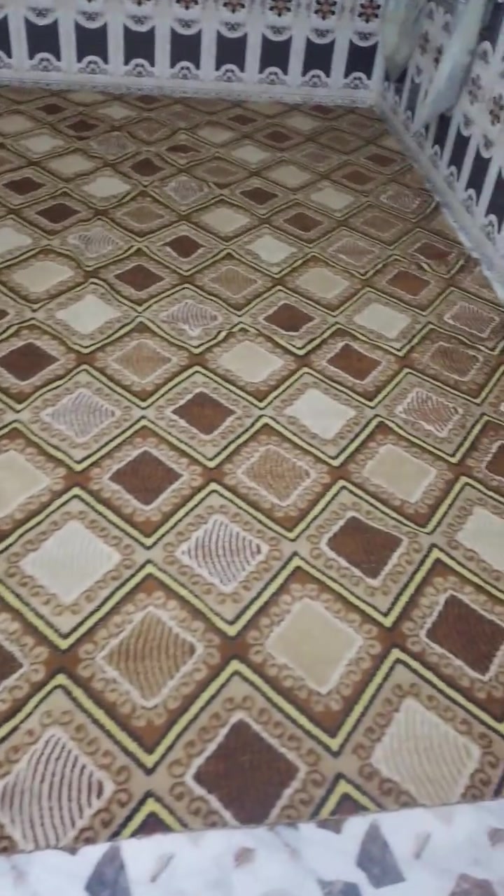 سلام عليكم لبيع
زوليه قياس ٣×٣  سعر ٤٠ وبيه مجال 
كابرت قياس ٥×٤  سعر ٧٥ وبي مجال 
كابرت ٣× ٣  سعر ٤٠ وبي مجال 
نضيفات كلش ومامستعملات هواي مابيهن لاحرك ولاشك ولااي شي نضافه فول 
العنوان الرمادي تأميم 
الاستفسار:***********
