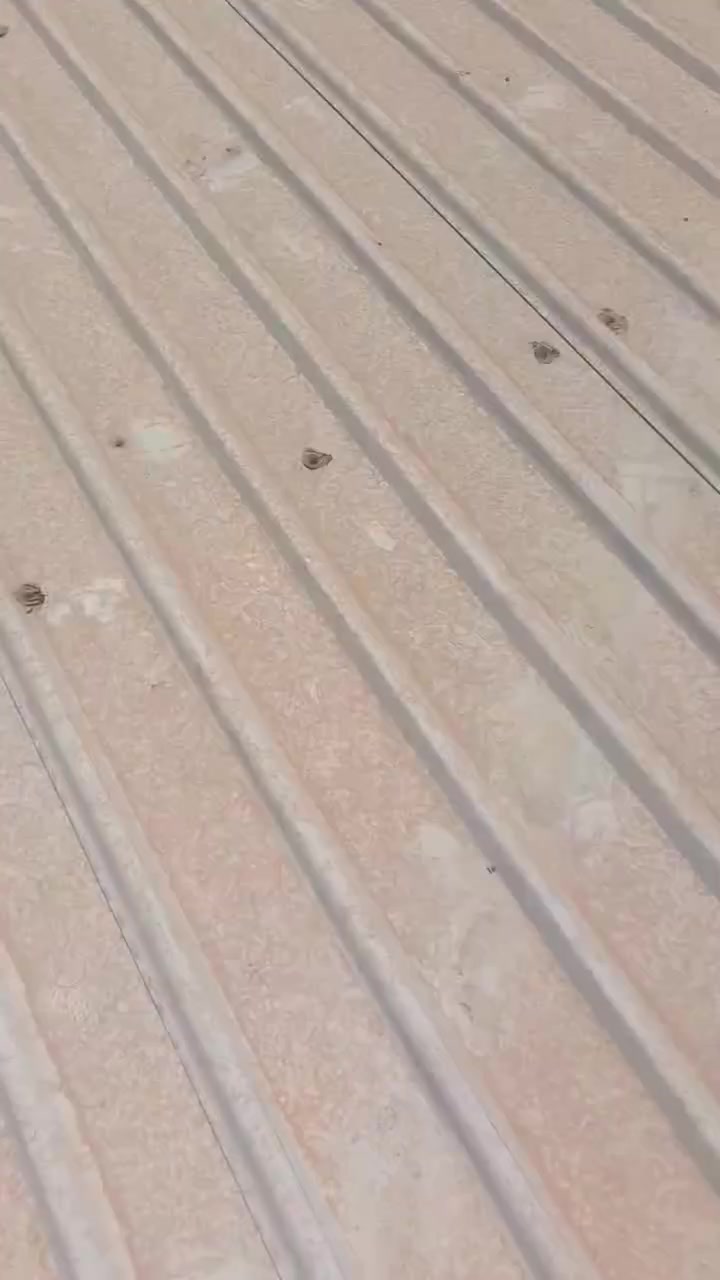 جينكو • ١١م • كربلاء