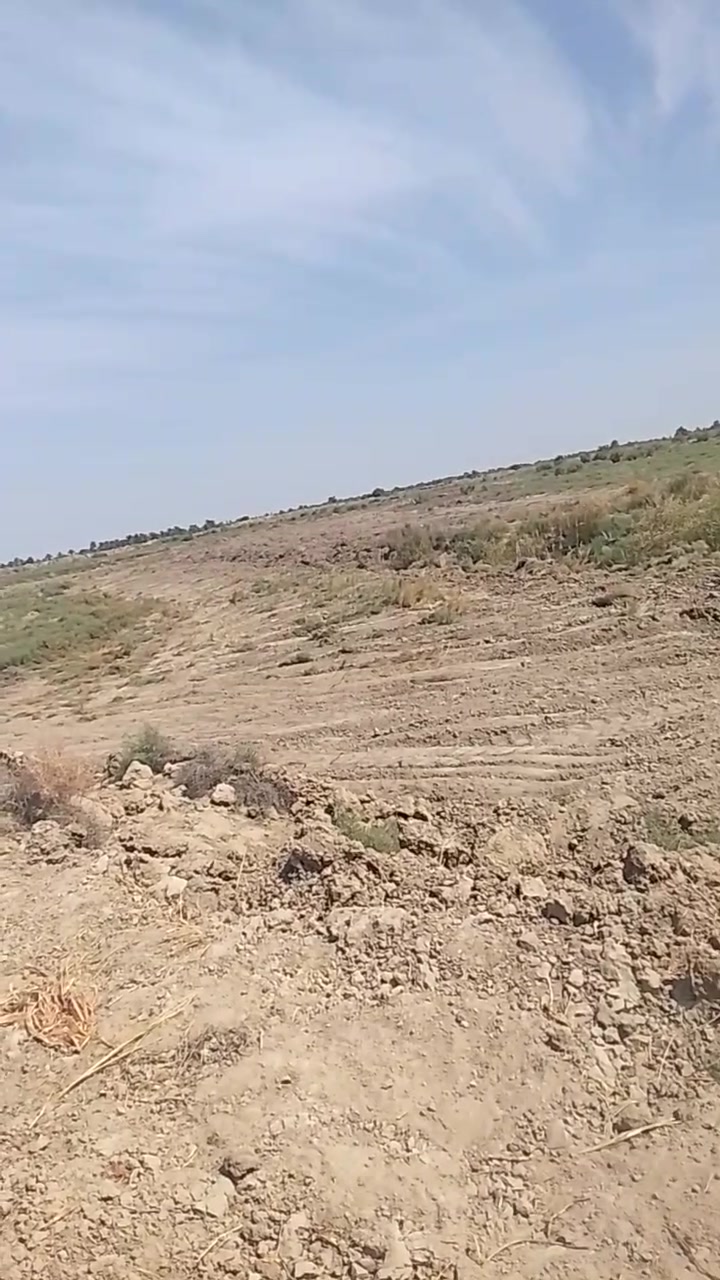 زراعي تتوفر فيها جميع الخدمات مي سقي كهرباء وتبليط مي اساله تبعد عن الشارع العام حله ديوانيه 400مترموقع الارض الطليعه خلف البانزين خانه للاتصال أو الاستفسار ***********
