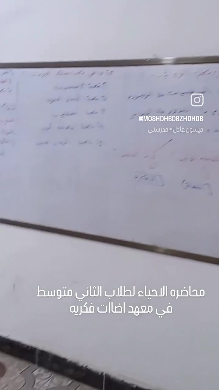 معهد اضاءات فكريه • تعليم • ماكو تفاصيل