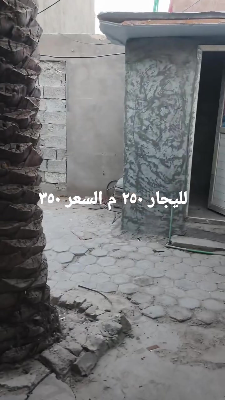 للإيجار • ٢٥٠م