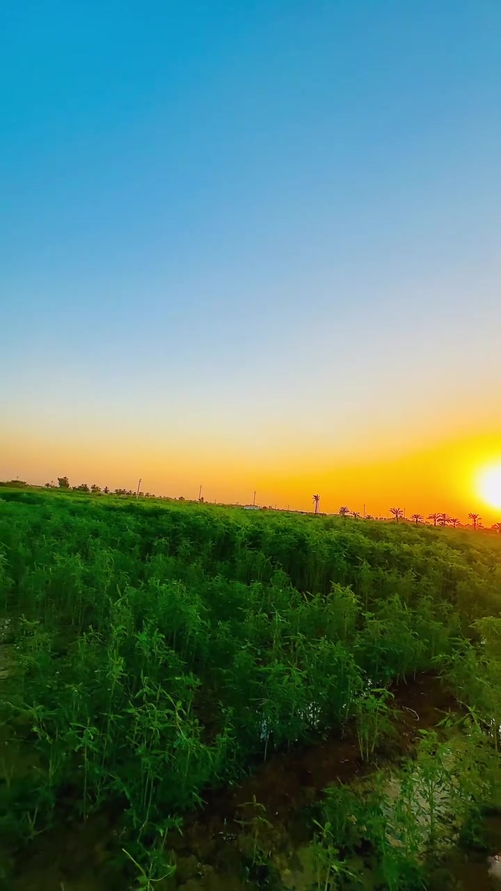السلام عليكم دونمين طابوصرف ملك  لمكان لزجاجيةلزيتون قرب بسمايةاستفسار لتصال (***********}
