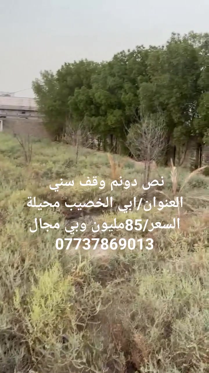 نص دونم • وقف سني • ١٢٥٠م