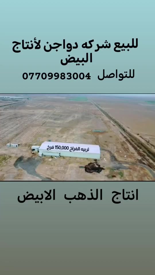 دجاج بياض • ٤٠ دونم • طابو سند ٢٥