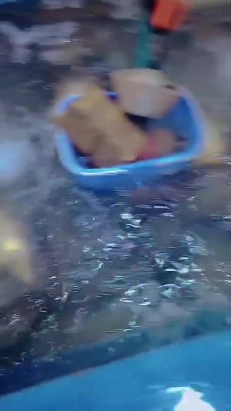 يالله اسماك🐟 الغراوي 💯🛑  الئ زبائنا الكرام كيلو السمج مع التمن والخبز مقبلات ب8 سمج كله
عدل
ودرجه أوله جربنه وماراح تخسر
الطعم والحموضه يمنه وبس
العنوان العوفيه مقابل حسينية الرسول *********** فقط عليكم الاتصال ***********
