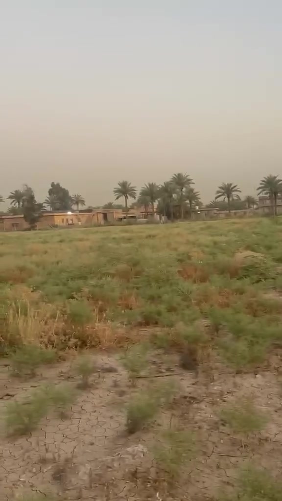 دونم  للبيع مقابيل
 معمل طحين الكرخ
وجه 28 م
نزال 90 م
طابو زراعي سند25
***********
***********
