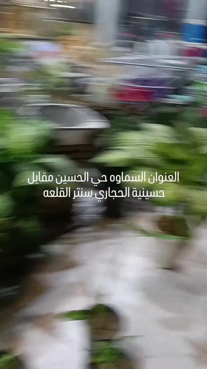 السماوه حي الحسين • نباتات ظل • راحة نفسية
