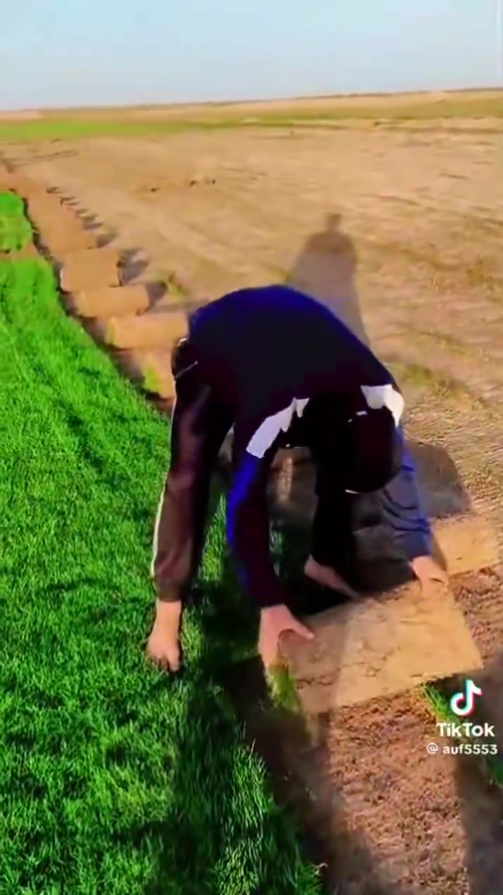 مزارع  الشمال للثيل الطبيعي 🍀
متوفر كافة انواع الثيل 🍀
( امريكي - الهندي - الايطالي - الفرنسي )
لتجهيز... مشاتل🌴
والدوائر حكوميه🏦
منازل🏡 
منتزهات🏄
موجود خدمة توصيل 🚕
لكل محافظات العراق 🚕
للطلب يرجى التواصل مع الصفحة او مراسلة واتساب او الاتصال علي***********
***********
