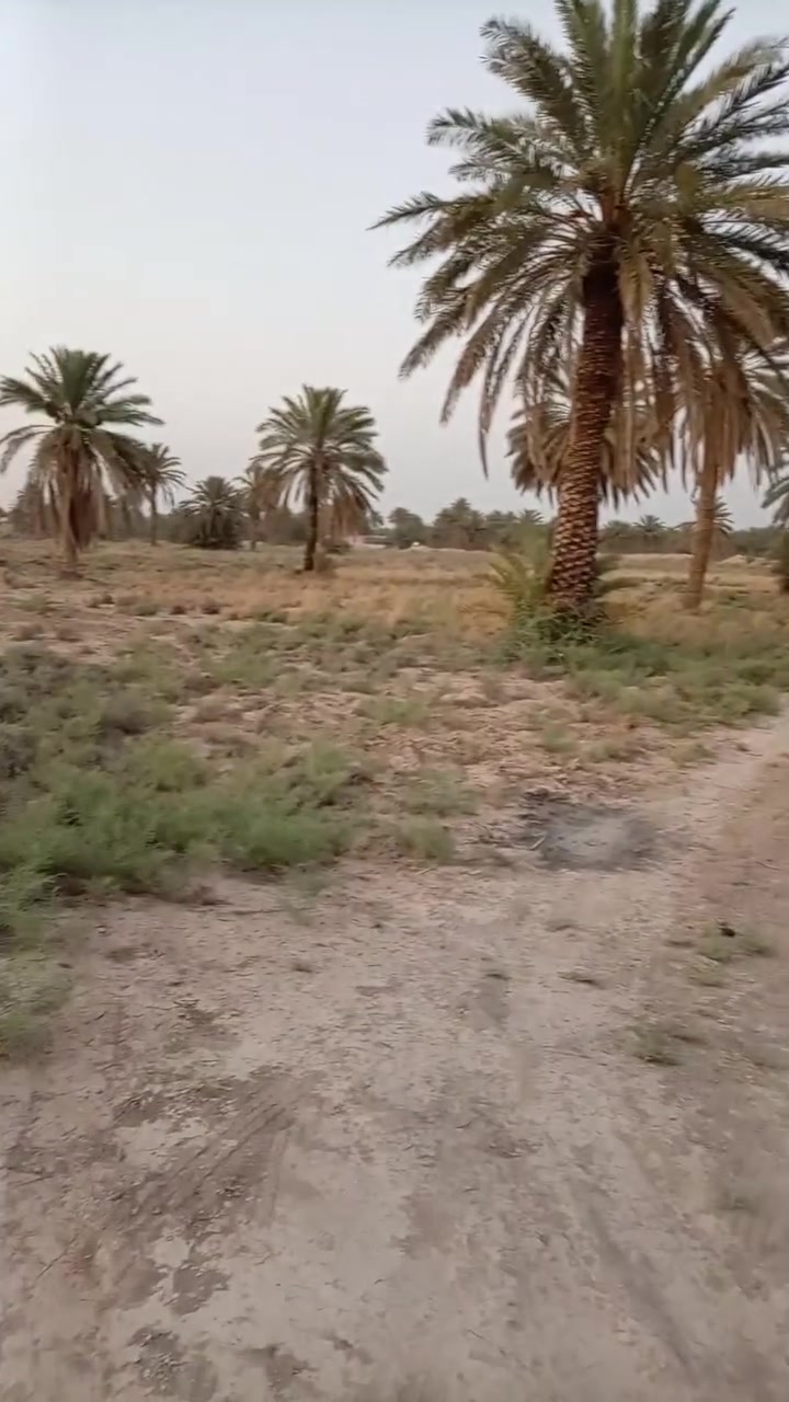 ارض زراعيه 15 دونم حله طريق نجف قرب نبي الله ايواب للبيع اتصل ودلل ***********
