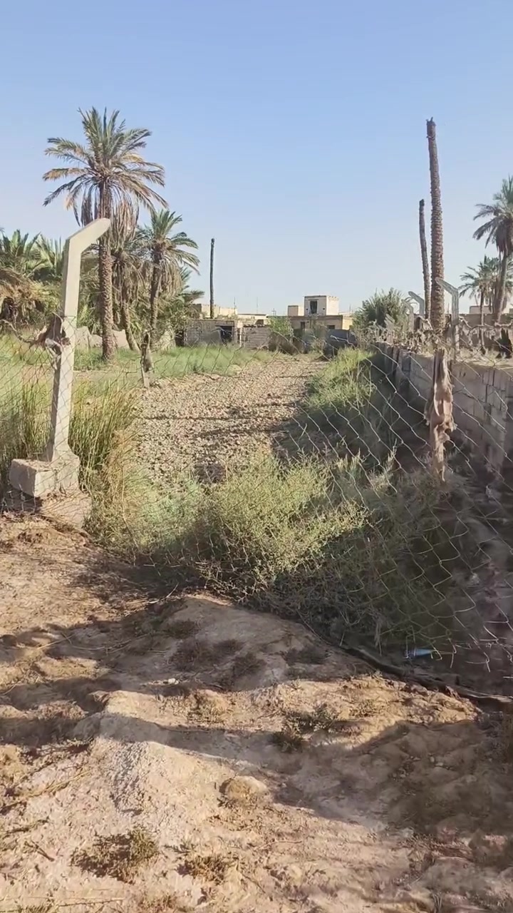 السلام عليكم ١٢٠٠م للبيع زراعي ناحية الفضلية خلف طاقة الكهرباء القديمة
السعر، ٣٠ يقطع نهر، مي للسقي ***********
