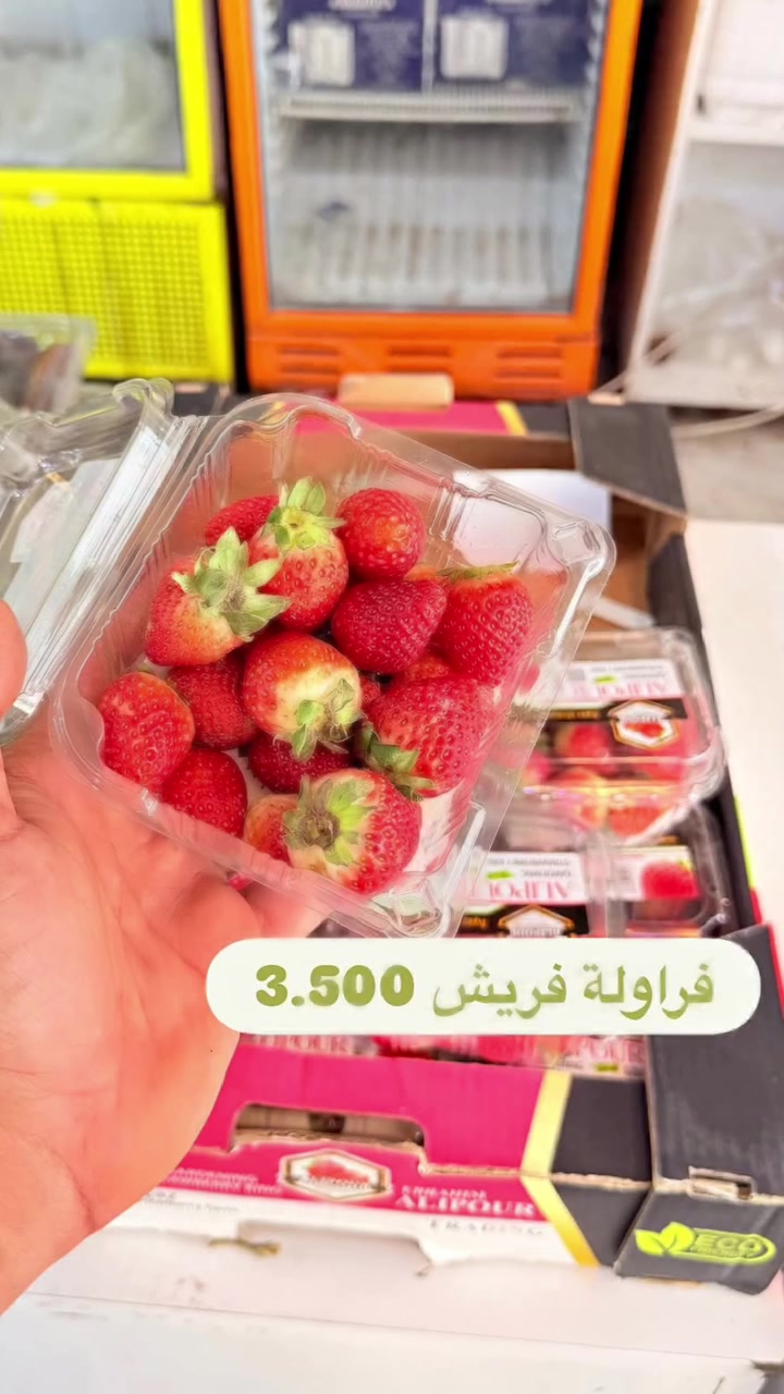#أسعار_اليوم
ما تحتاج تطلع للسوق وتضيع وقتك ⏰
إنتَ اختار شنو تحتاج… وإحنا نتسوقه إلك ونوصله لباب بيتك 🛵❤️
🥬 خضار
🍎 فواكه
🍗 دجاج
🐟 سمك
🥩 لحوم
 💊دواء
واكثر من ذالك 
📲 للطلب والاستفسار على الواتساب:
***********
📍 طويريج والمناطق القريبة 
طويريج دلفري ... خليك مرتاح 😌
#طويريج_دلفري #طويريج #الهندية #توصيل
Tuwairij Delivery
