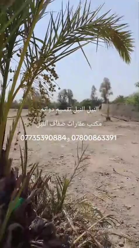 الحلة • دونم • طابو زراعي