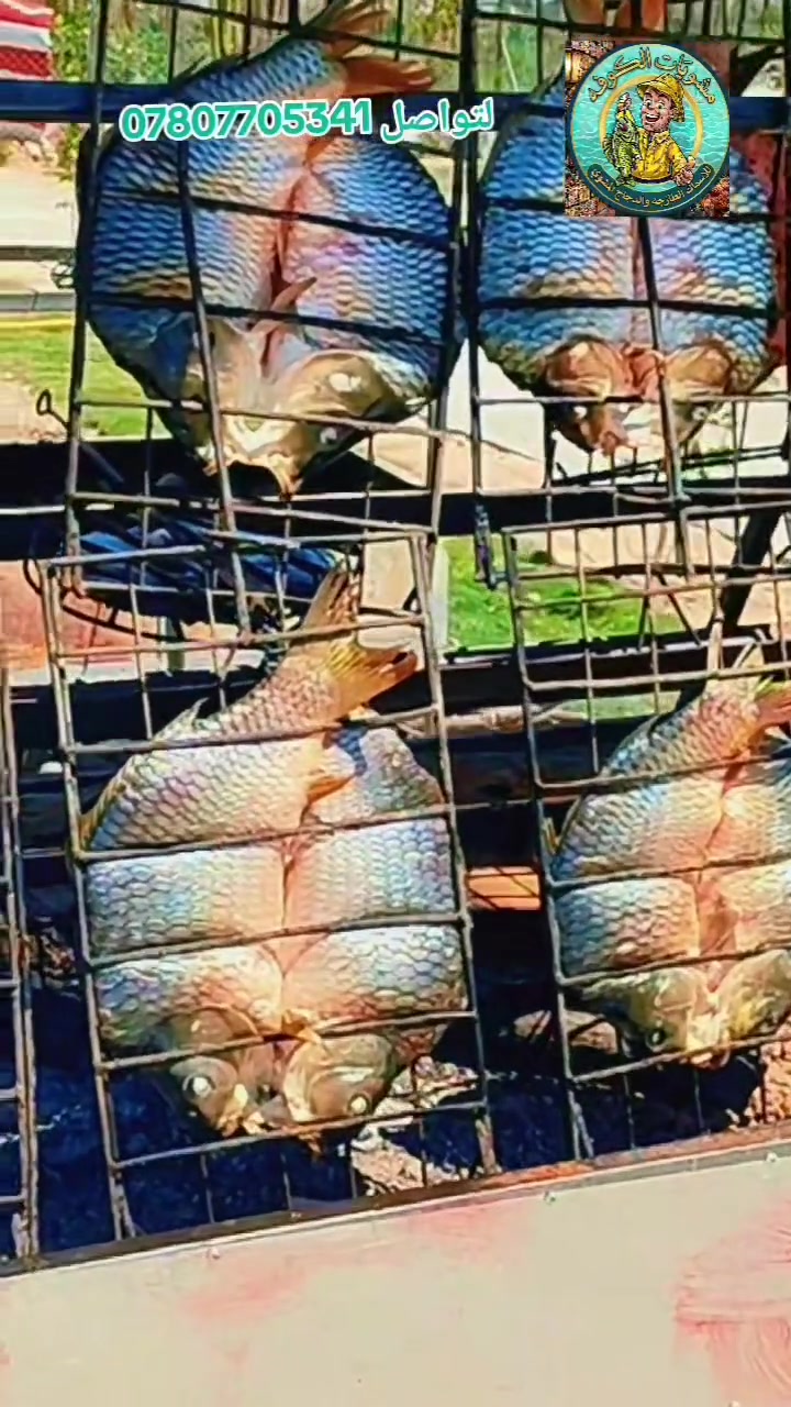 🐟 مشويات الكوفة 🐟 🍗 
يوجد توصيل لشاليهات الكوفة وجميع مناطق الكوفه سمك  مشوي و حي مع التنظيف مجاني لتواصل ***********
