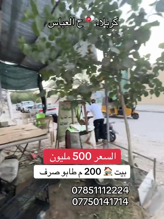 كربلاء حي العباس • ٢٠٠م • طابو ملك صرف