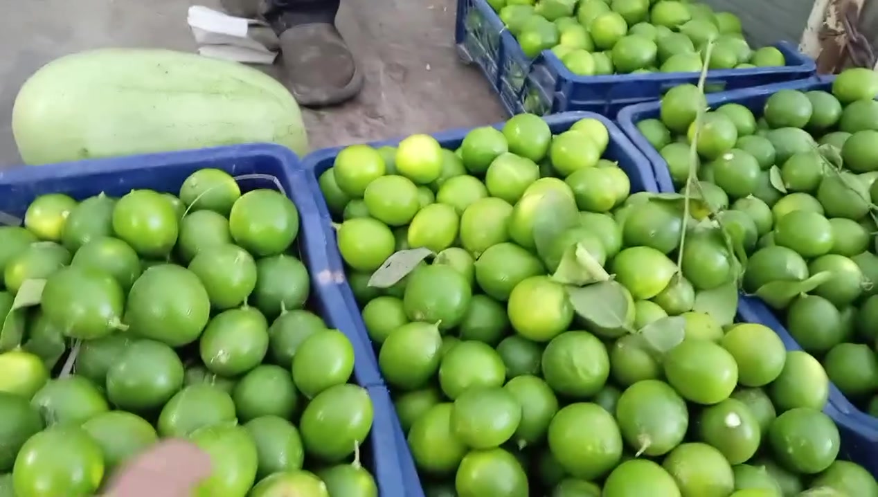 ركي • حامض عراقي • علوة القرية