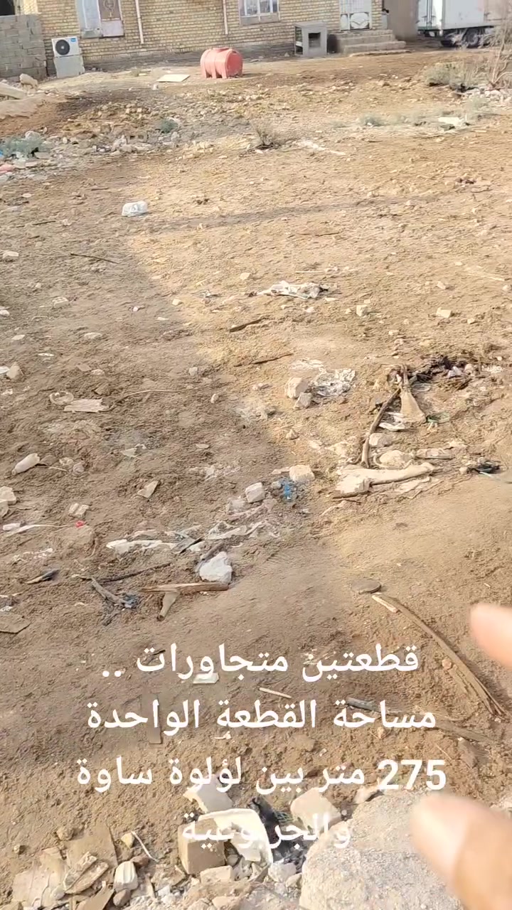 أرض • ٢٧٥م • لؤلؤة ساوة-الجربوعية