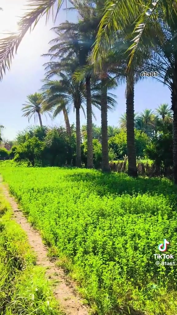 السلام عليكم عندي دراجه ناريه سيافان موديل 2025
اللبيع أريد 800 ألف دينار هذا هو رقمي ***********
