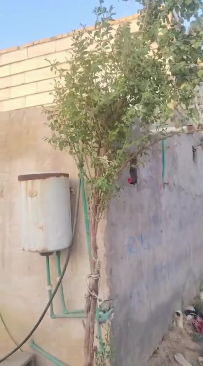 ياالله بيت زراعي للبيع المساحه 110 ركن البناء بلوك عكاده يحتوي على غرفتين وصاله ومطبخ واستقبال كل الخدمات متوفرة العنوان السديناويه شارع البنزين خانه وتنزل ليجوه السعر 30مليون وبي مجال قليل ***********
