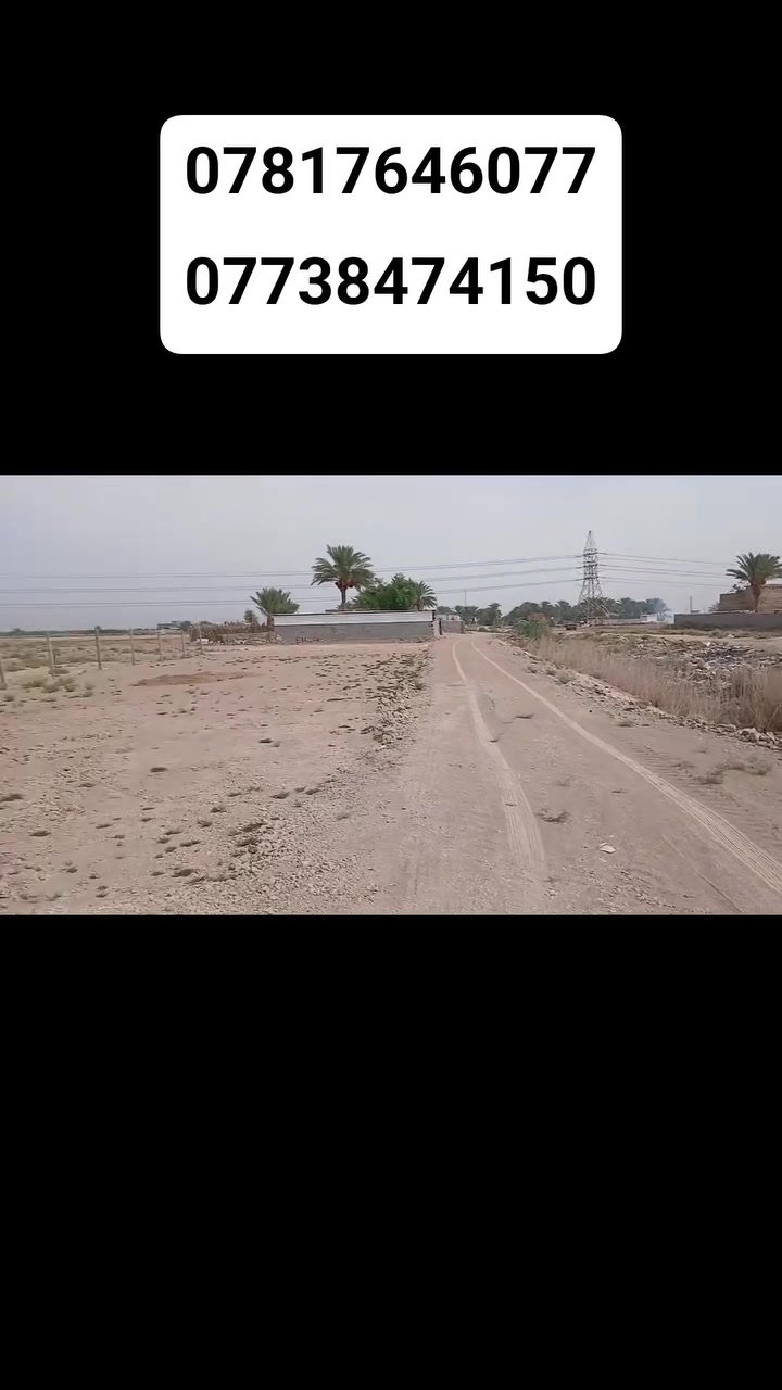 ١ دونم • طابو زراعي • شارع بزل