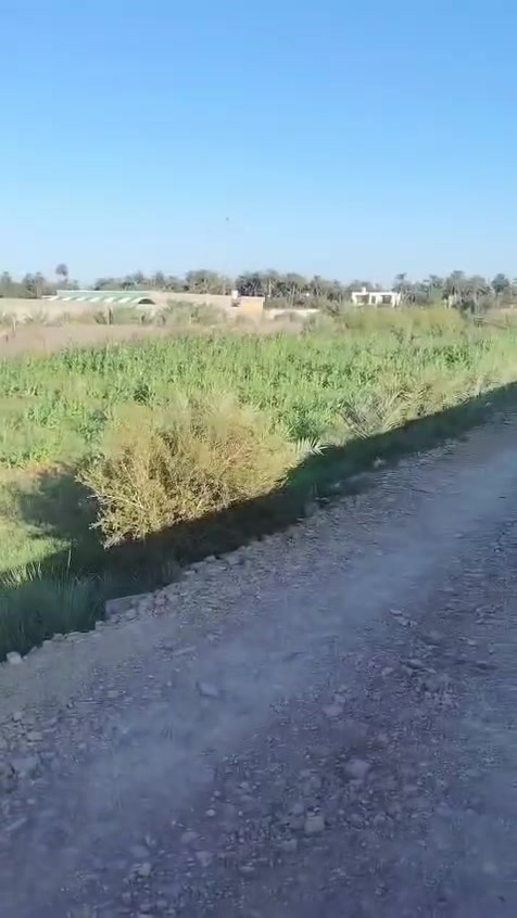 السلام عليكم دونم للبيع يوم سيطره بغداد ابو شطيب***********
