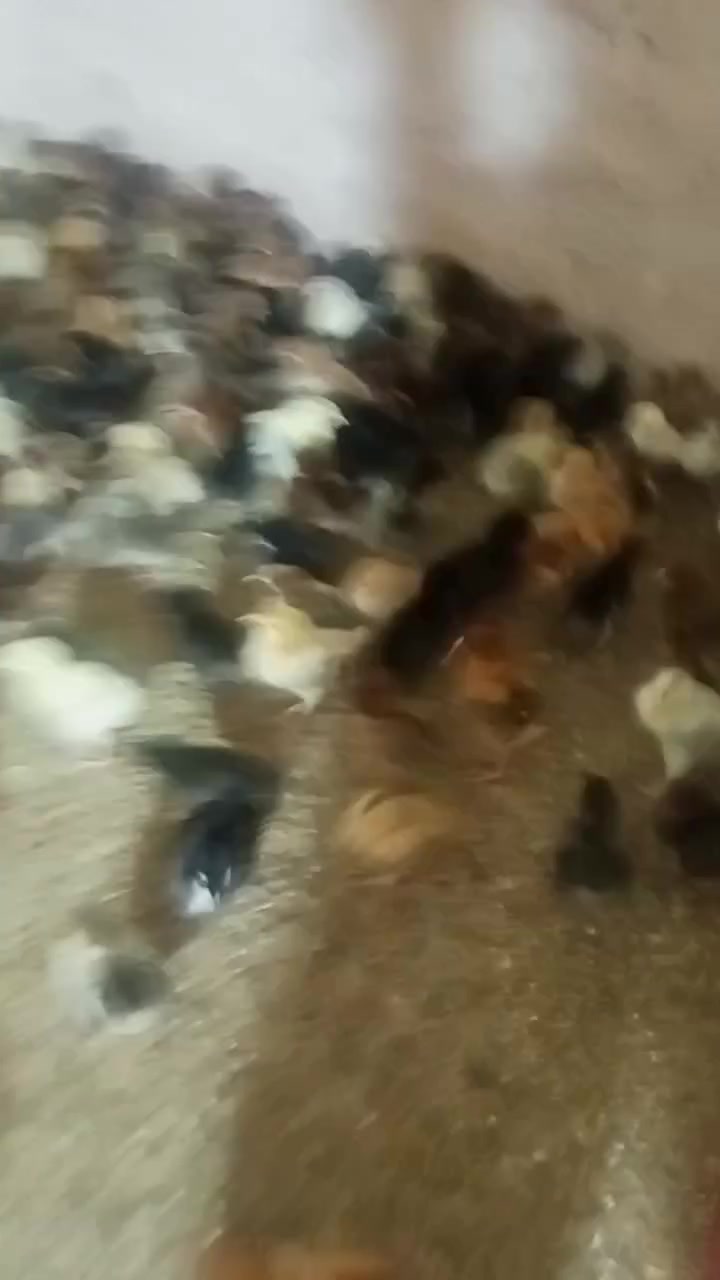 افراخ عرب • عمر ٨ • كمل علاج