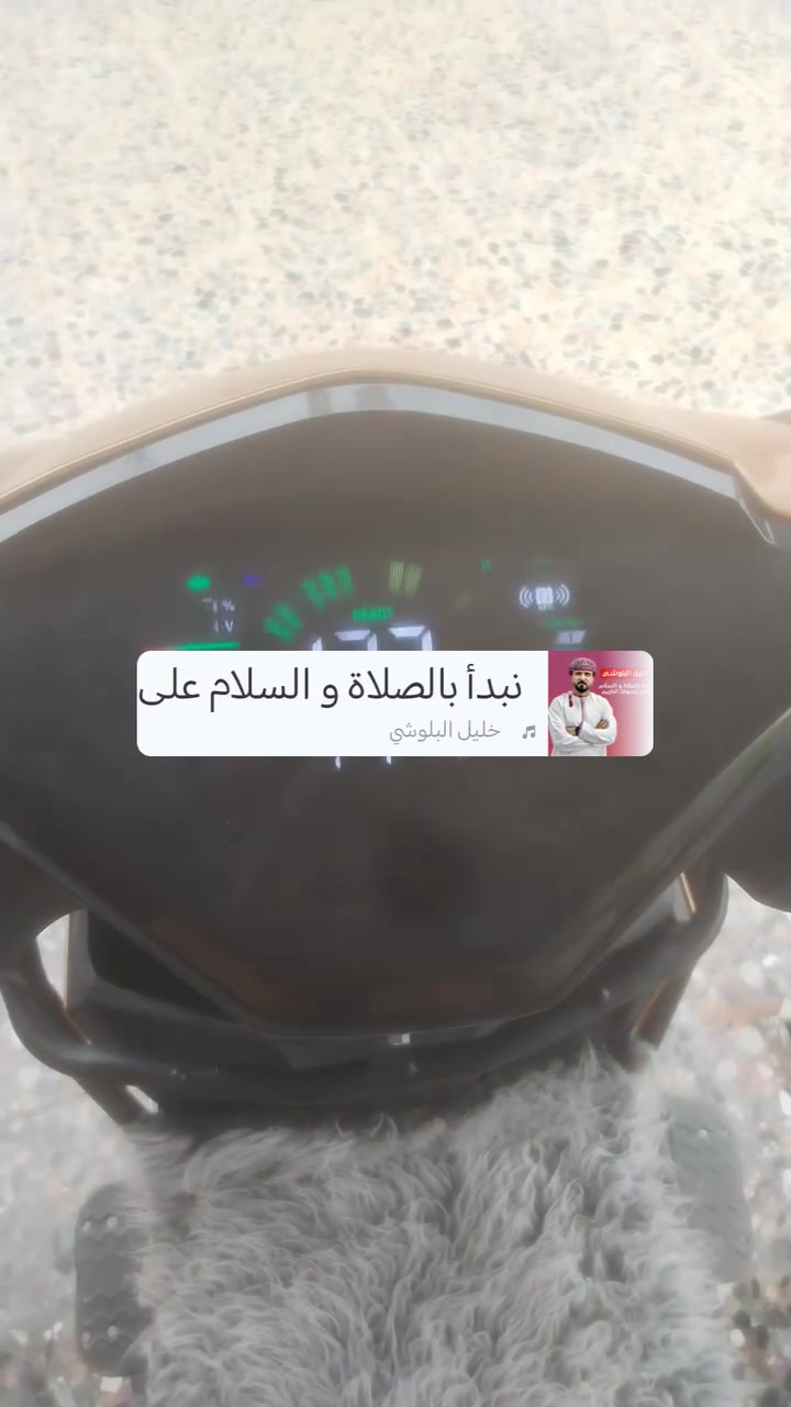 دراجة شحن • سكنس • ٢٠٢٥