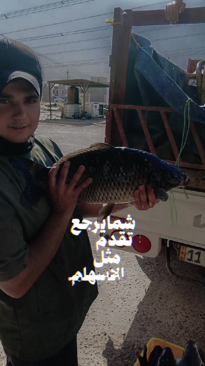 الى اصحاب الذوق الرفيع  محبي الاسماك الطازجة نتشرف بزيارتكم للإستمتاع  بالجو الهادئ و الراحه النفسيه مع اطباق مميزه و شهية في اسماك الساعه السماك مسكوف بغدادي..☑ العنوان بغداد دوره حي دجله التوصيل داخل  منطقة حي دجله 🐟اسماك الساعه مفتوح على مدار الساعه ***********🛵
