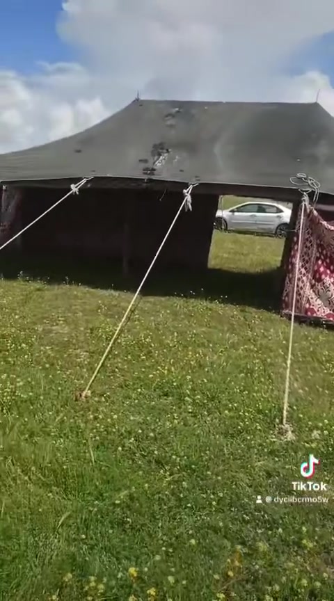 بيت شعر خليجي • ابطانه حمره • ٨×٦