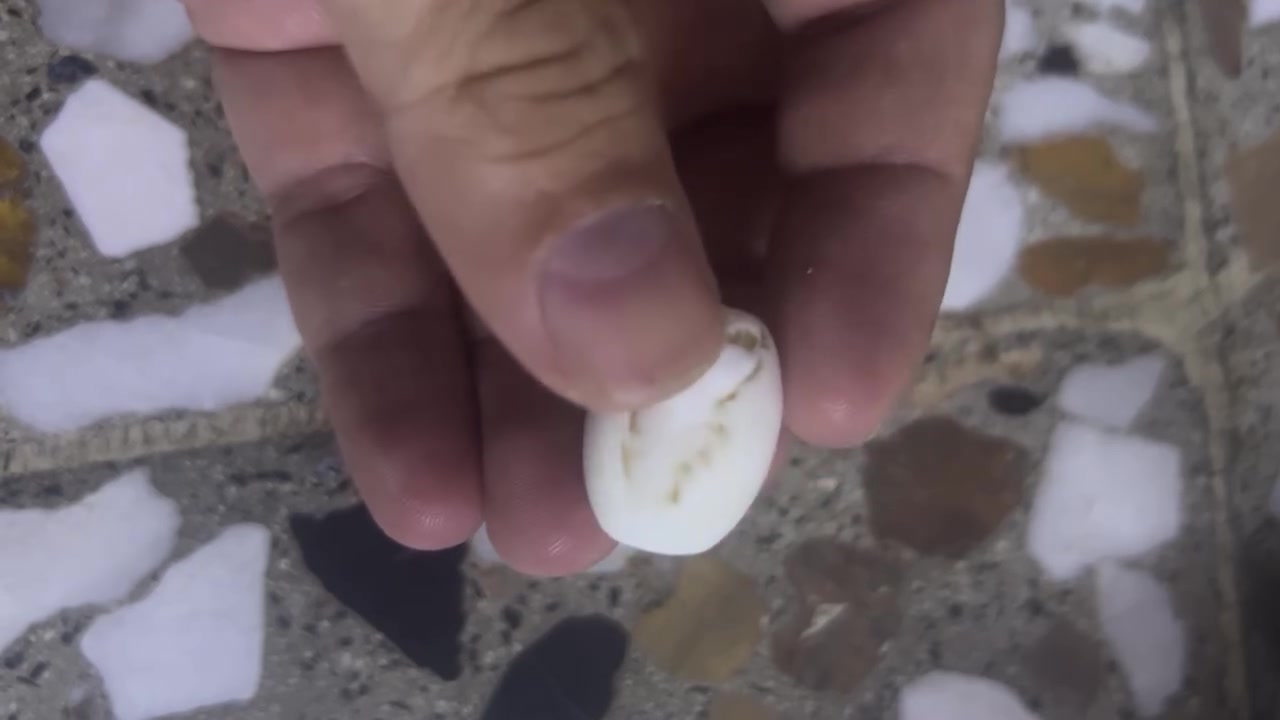 عطف قديم • للبيع • علاوي ٧٥
