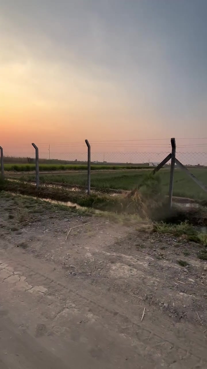 التاجي الشيخ عامر • ١٢ دونم • طابو