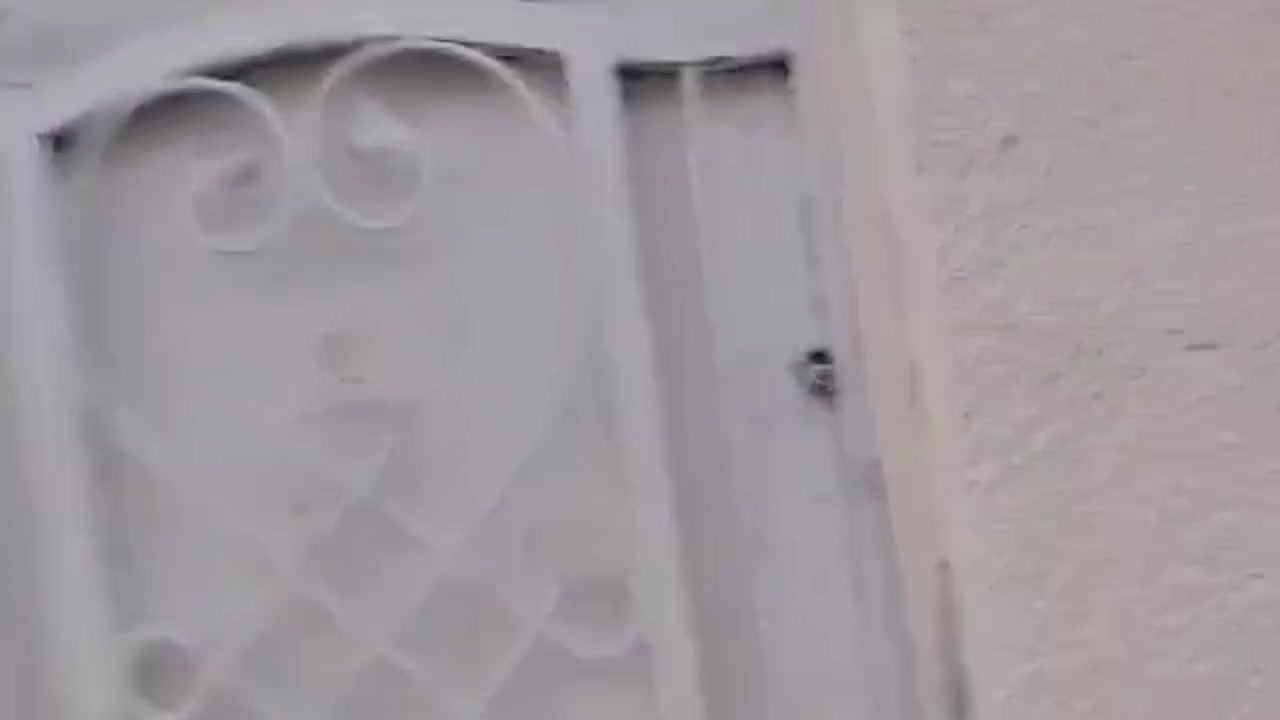 مشتمل جديد وكبير للإيجار 
طرمه أماميه  ٥×٤  تواليت خارجي عدا الداخلي
ثم
الاستقبال ٦×٤
 الهول الداخلي٥×٤  ضمنه مطبخ + ملحقات
  أما غرف النوم بالطابق الثاني  ٤×٤
ويوجد غرفة بالأعلى تصلح غرفة نوم أو مخزن مع السطح

_________________:::
***********
