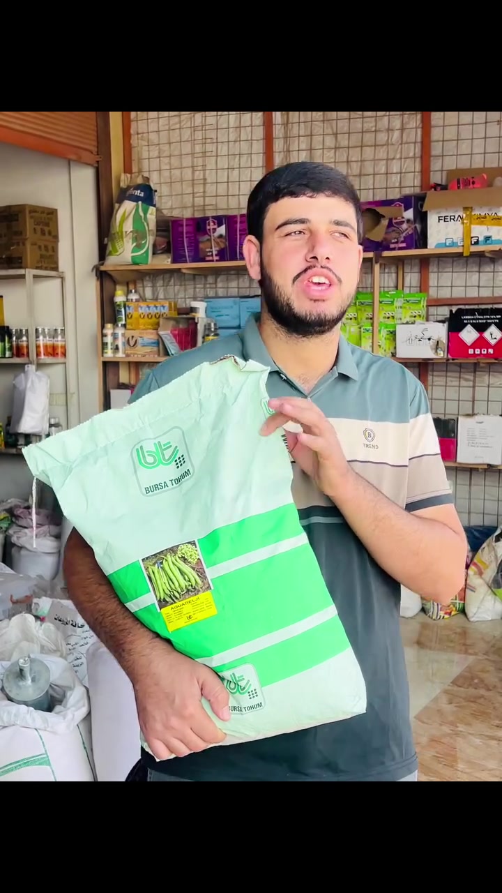 باقلاء تركية • درجة أولى • القيارة