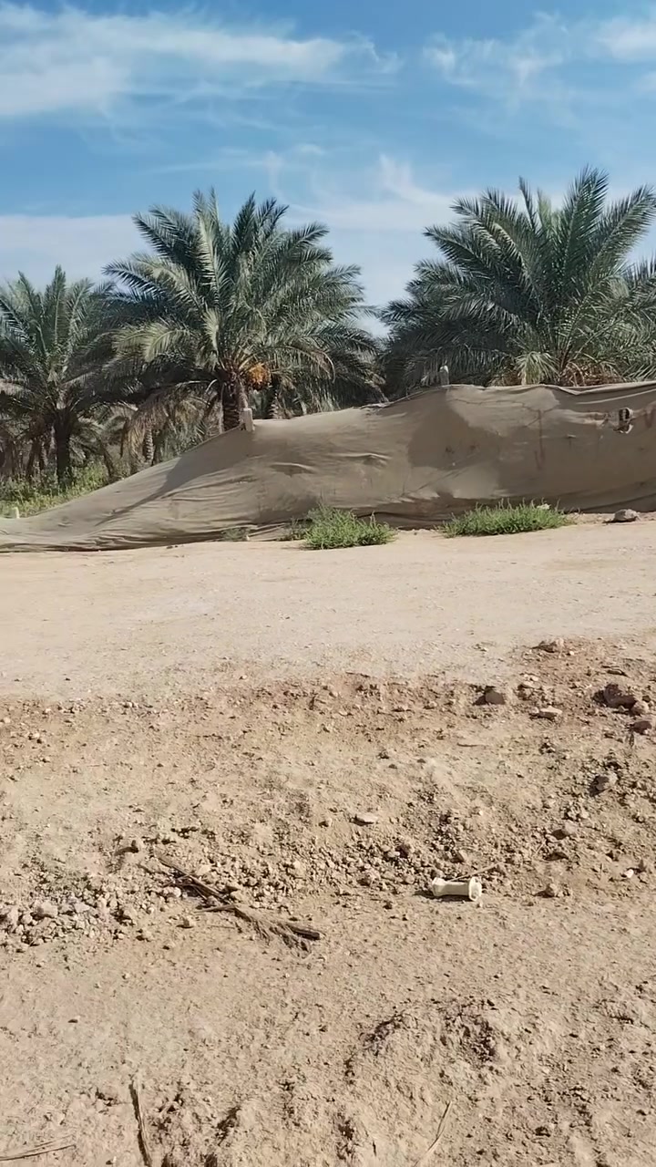 طابو زراعي • سند ٢٥ • كربلاء المعملجي