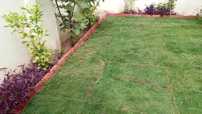 وتساب***********/*********** ،السلام عليكم 🌷هذا جزء من 🌱عملي 🌷ان شاء الله 🌷 عجابكم🍁 مستعدين 🌷 تأسيس 🌷الحدئق و🌷قص الثيل وتقليم الا 🍁شجار

