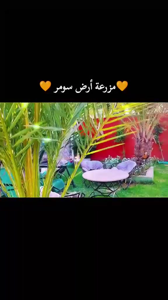 الدوره • إيجار يومي • حفلات ومناسبات