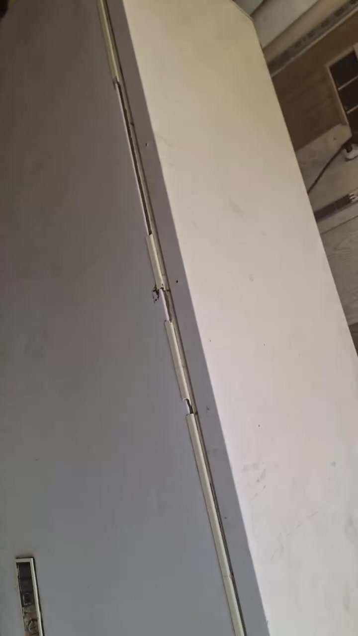 عندي هاي المجمدة للبيع سعرهه ٢٥٠ مال محل بس الجوه الكشر خالع لتفبده يخابر على هذا الرقم ***********@
