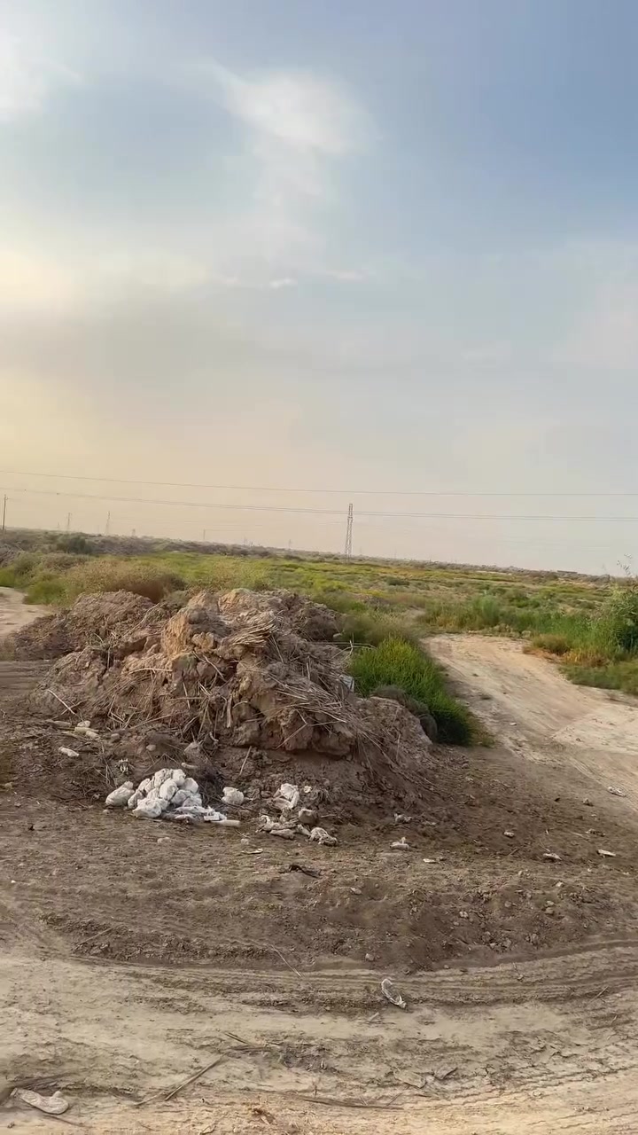 قضاء سيددخيل • دوانم زراعية • شارع رئيسي ١٢م