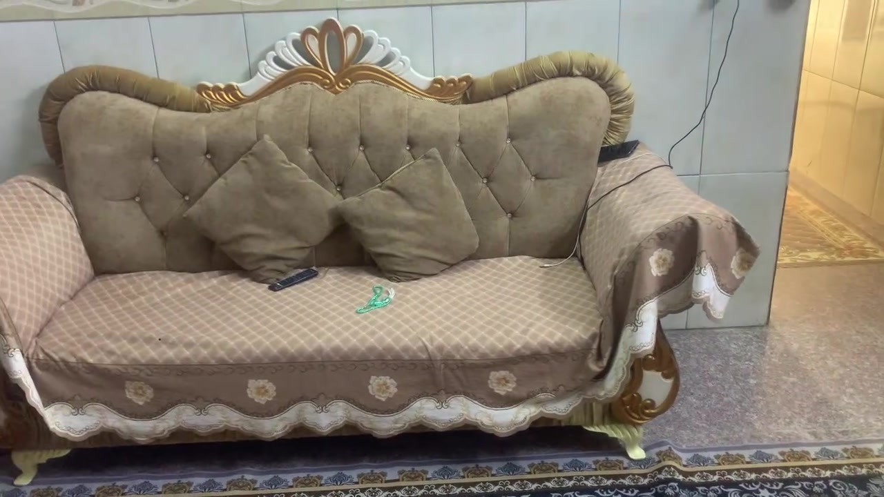 تخم ملكي • نضيف • الامين الثانيه