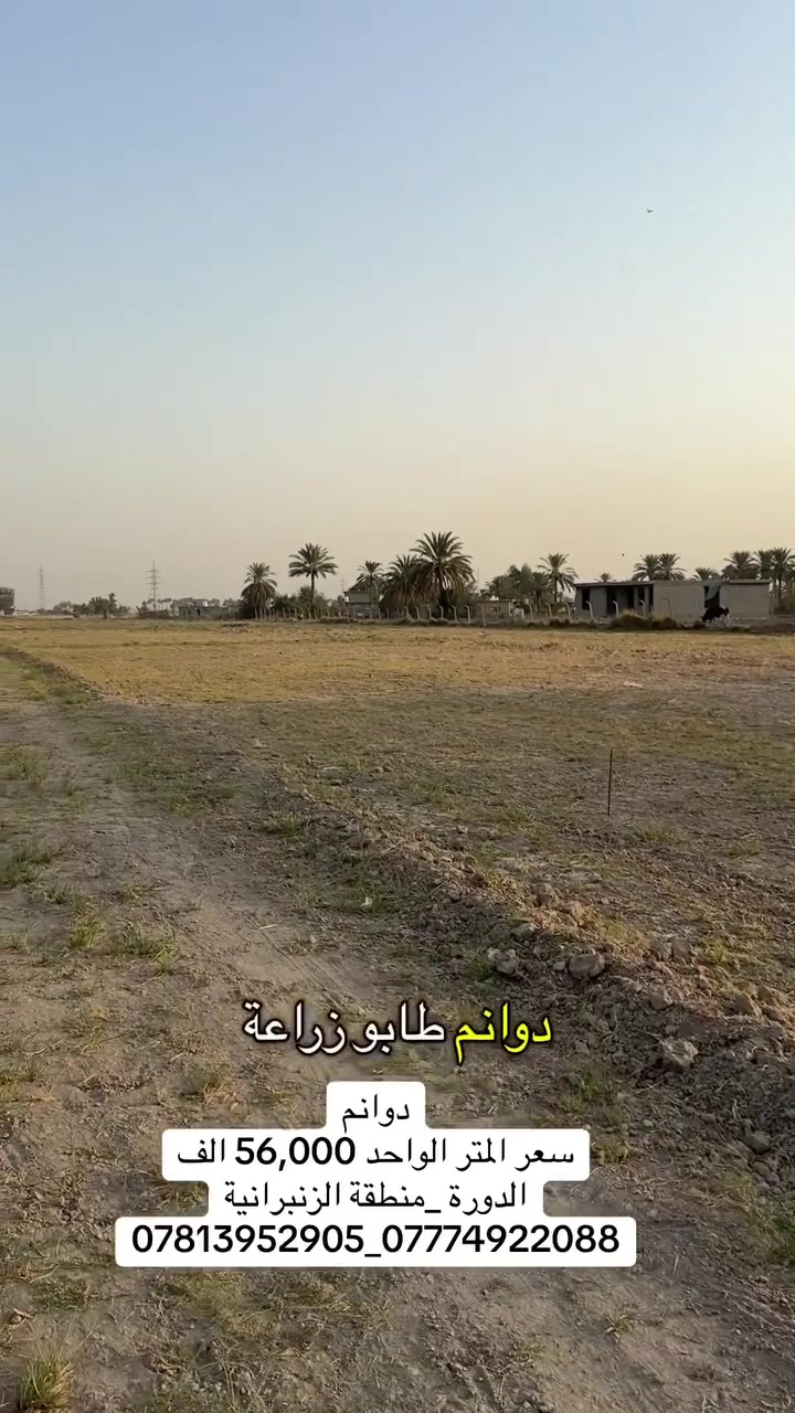 دوانم سعر المتر الواحد ٥٦,٠٠٠ الف في الدورة  #الزنبرانيه
***********_***********_***********
