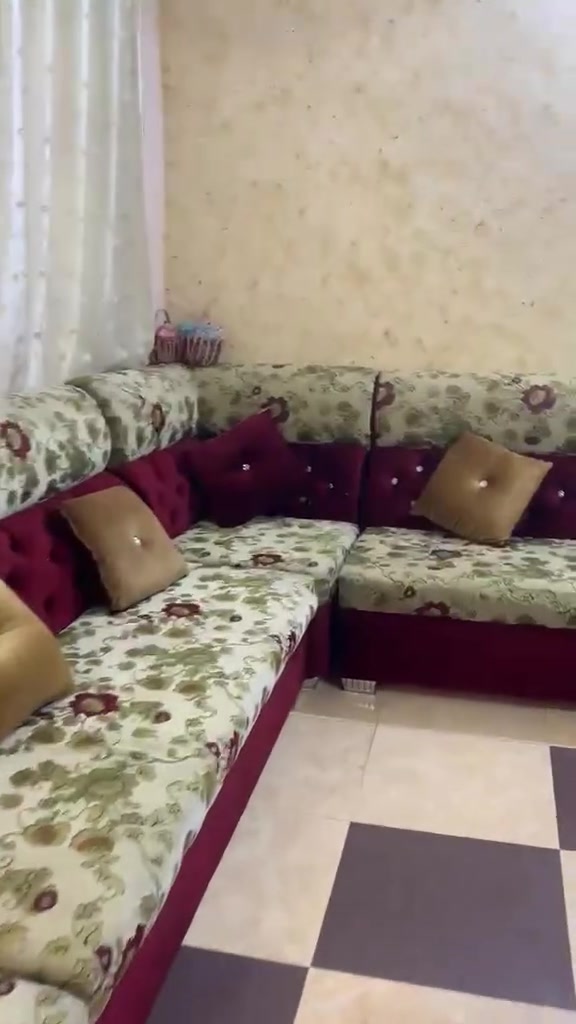 تخم ديوان للبيع تزكام درجه اولى نضافه ١٠٠٪ العنوان كربلاء طويريج ***********

