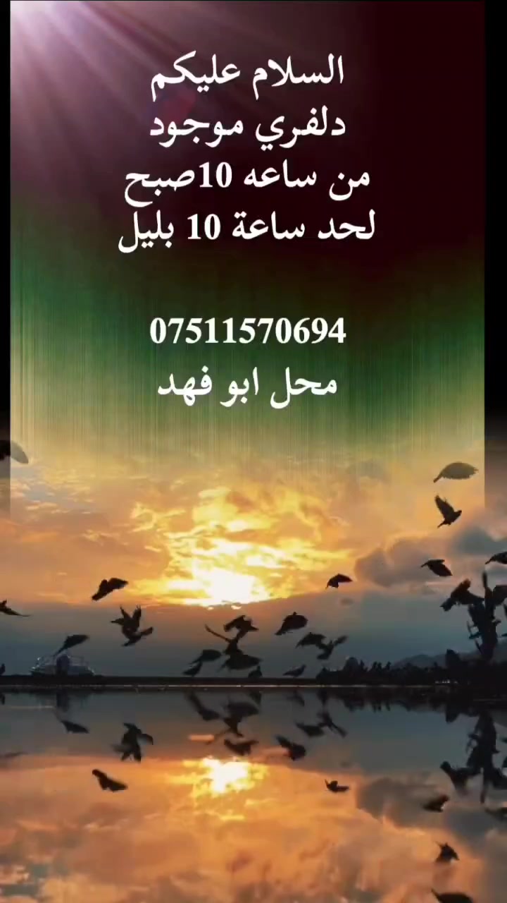 دلفري • محل ابو فهد
