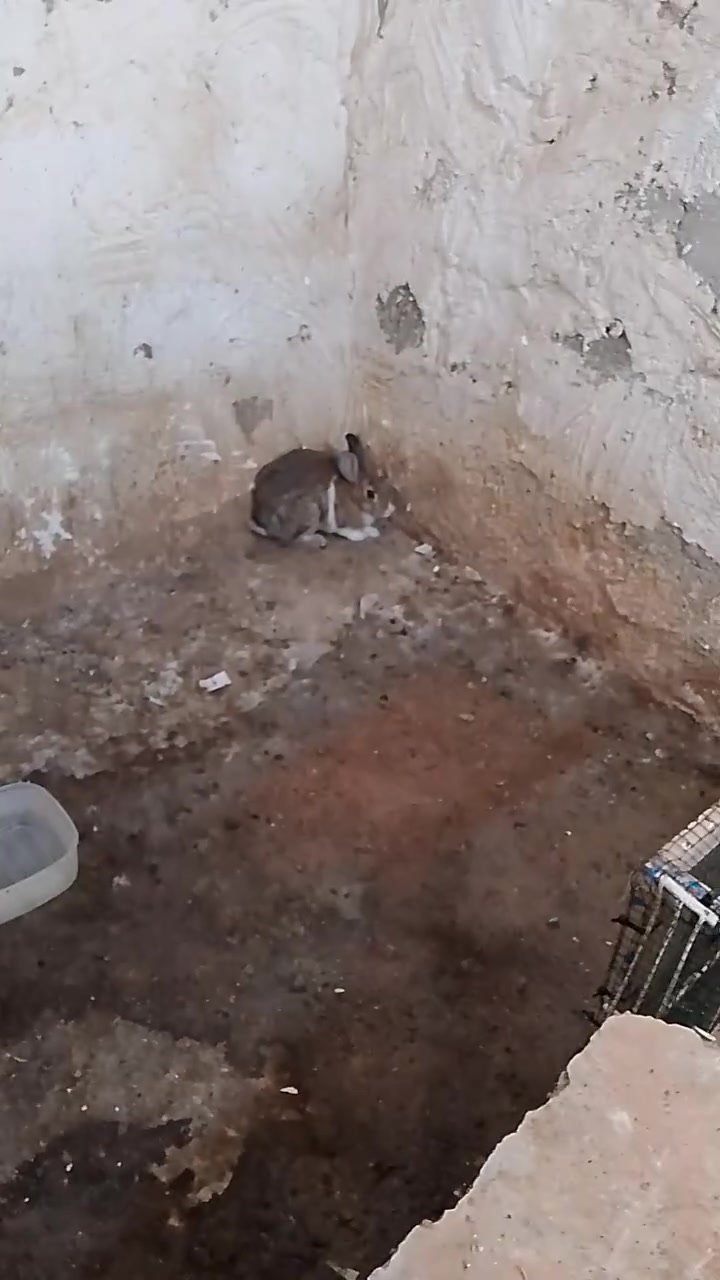 للبيع رقم الهاتف السعر بالخاص‏‪***********‬‏
