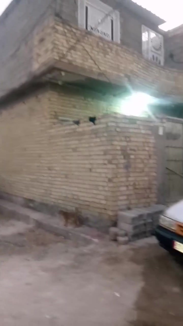 الدار للبيع زراعي ركن مساحة 100متر طابقين عنوان كربلاء الشبانات حولي ميه على أربع سايدات يبعدعن الحولي 300 متر السعر 90 وربي مجال عالي عن الشارع وجاهز السكن ماء كهرباء مجاري ومرتب ت*********** أبو ايات
