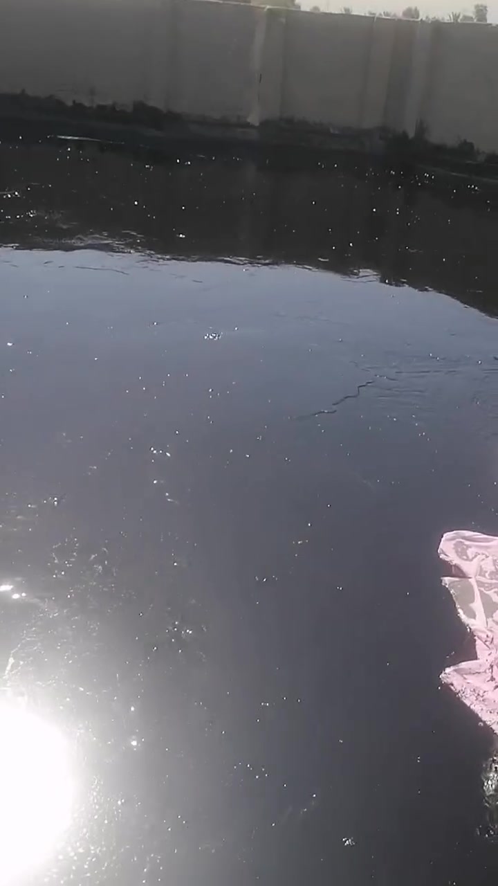 السلام عليكم ورحمة الله وبركاته سكله كريم الجبوري للبيع الزفت والماستك وعمل كافت البيوت ودؤائر الدوله شفل درجة أولى لا حجر ولامال رمادي زفت اربيل يمد 50 متر مبربع العنوان الإسكندرية خلف المجلس البلدي
الاتصال ***********
***********
