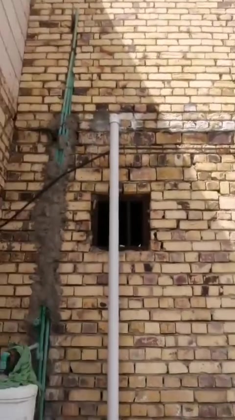 طابو زراعي • سند ٢٥ • ٤٠٠م