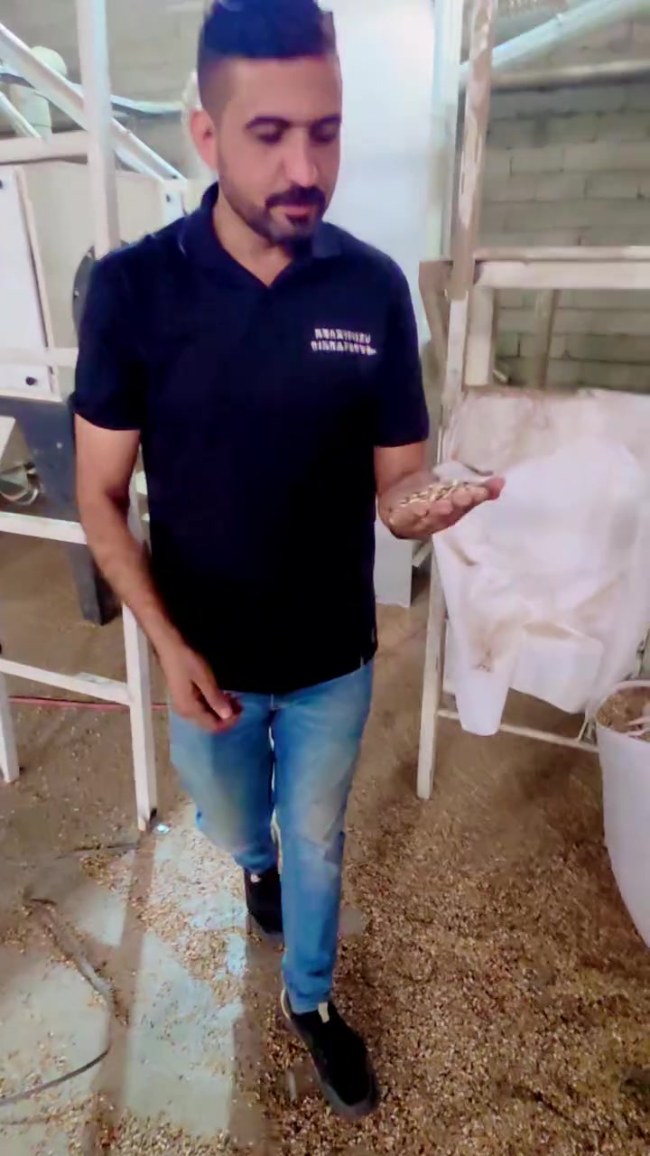 تاج النورس • المحموديه • ماجد حميد