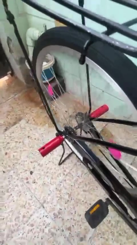 سلام عليكم باسكل لبيع بناتي حجم 27 باسكل نضيف يردله تعديلات سعره ٩٠ بي مجال مكان بغداد مدينةالصدر رقمي واساب فقط ***********


ملاحظه. جاملقات موجود ابيع بدون حملات