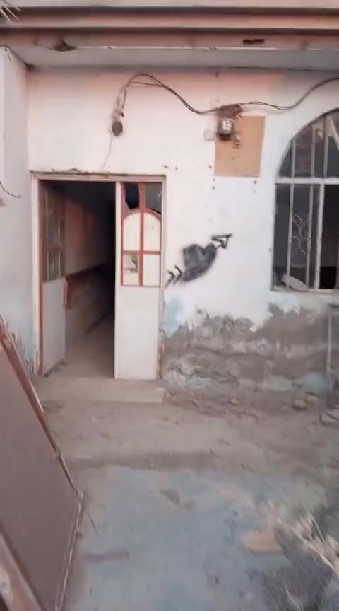 ملك صرف • دورين غير مكتمل • سند ٢٥ ٣٩٠م