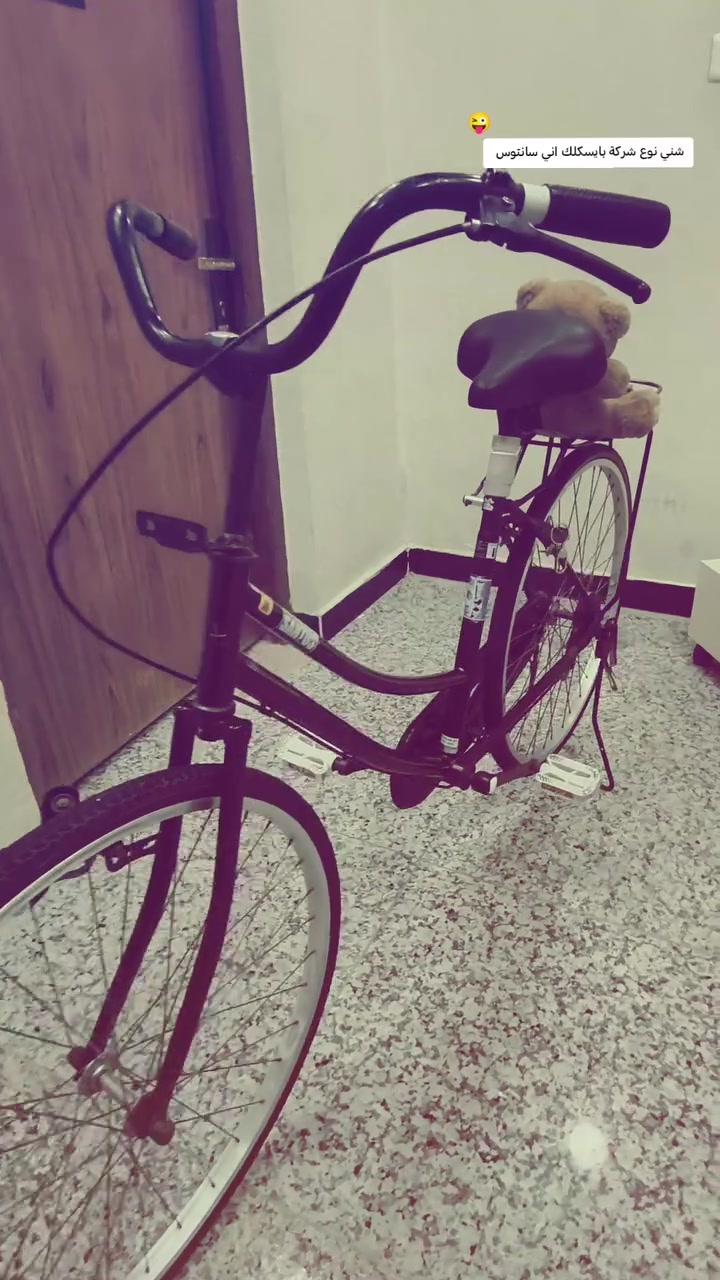 بايسكل • الديوانيه