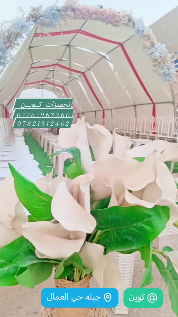 تجهيزات كوين • تأجير كوشات • بابل جبله